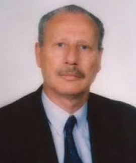 محمد سلام اليماني