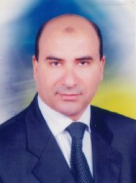 بدر حسن شافعي