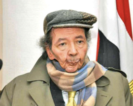 محمد عناني