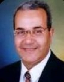 محمد عبدالعزيز العيوطي