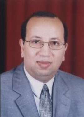 وائل أحمد علام