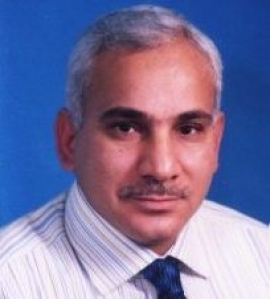 إبراهيم المصري