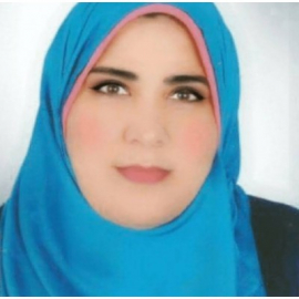 نجاح عامر