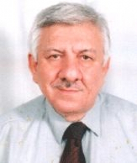 حسام حسن علي غالب