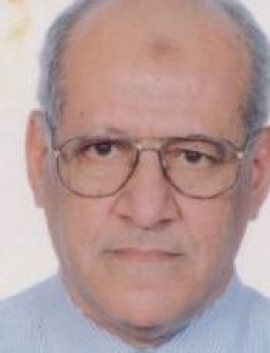 محمود محمد عاشور