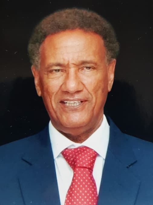 محمد الأمين البشري