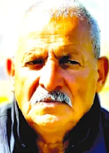 أنور محمد