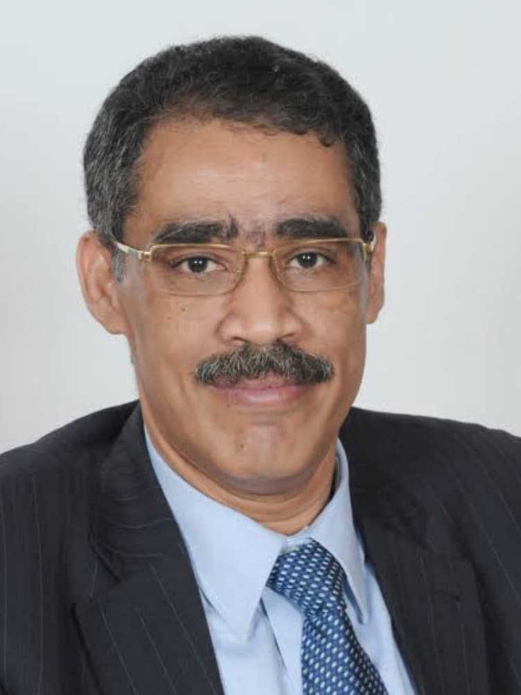 ضياء رشوان