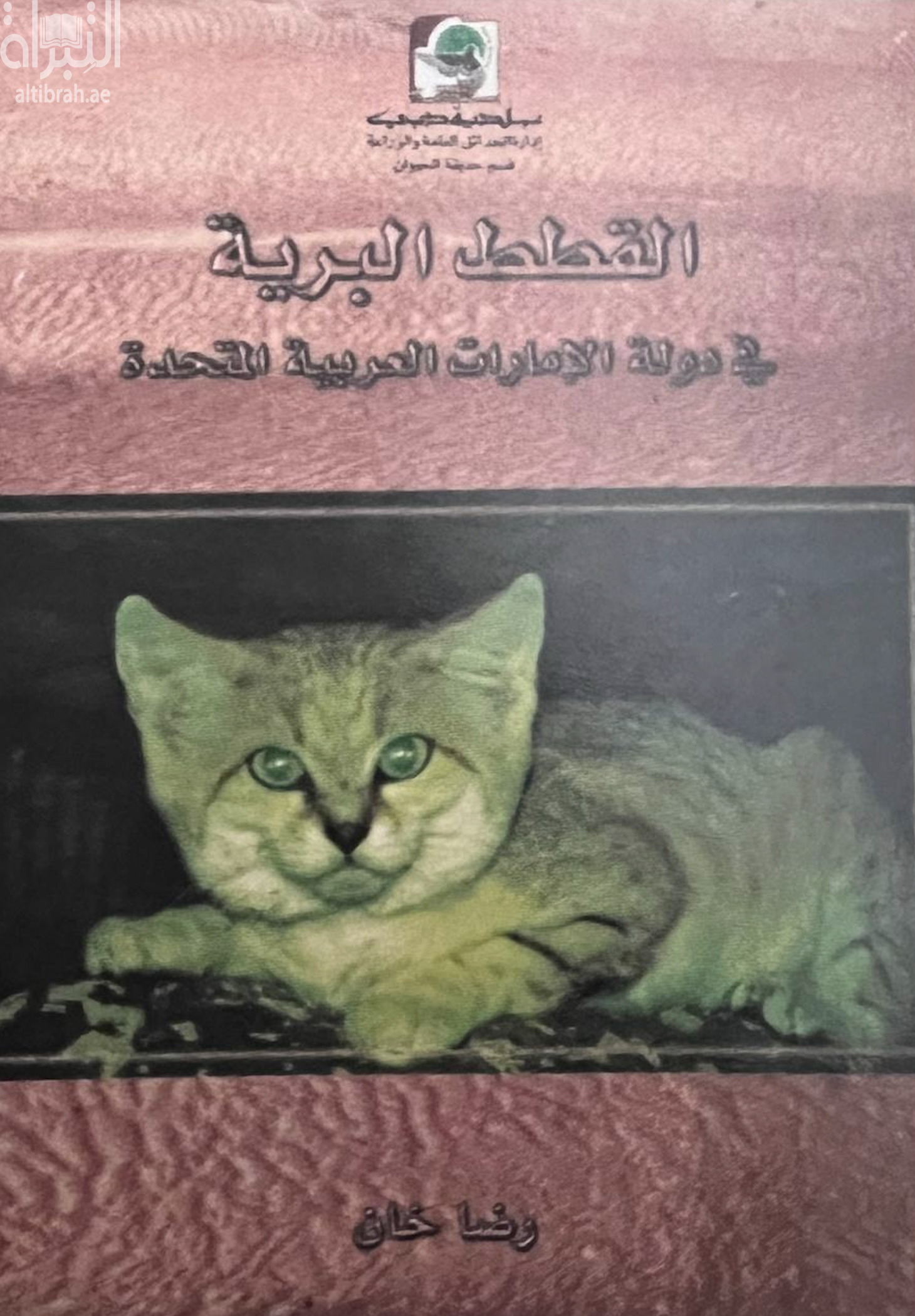 القطط البرية في دولة الإمارات العربية المتحدة