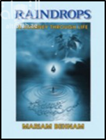 غلاف كتاب Raindrops - A Journey through Life