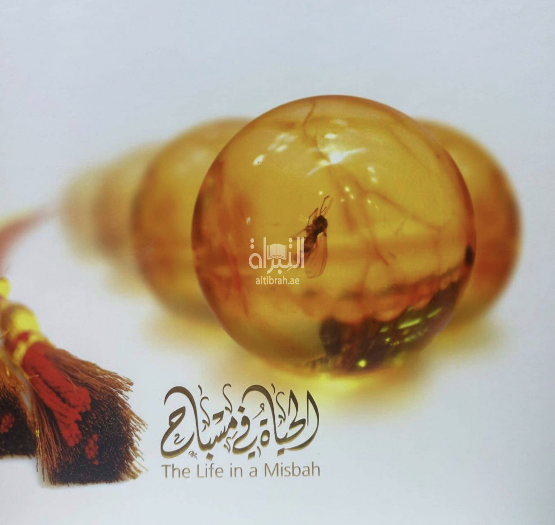 كتاب الحياة في مسباح‏ ‏The Life in misbah ‏