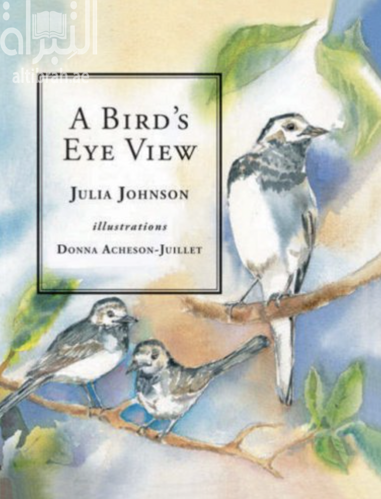 غلاف كتاب منظر من أعلى Bird's Eye View