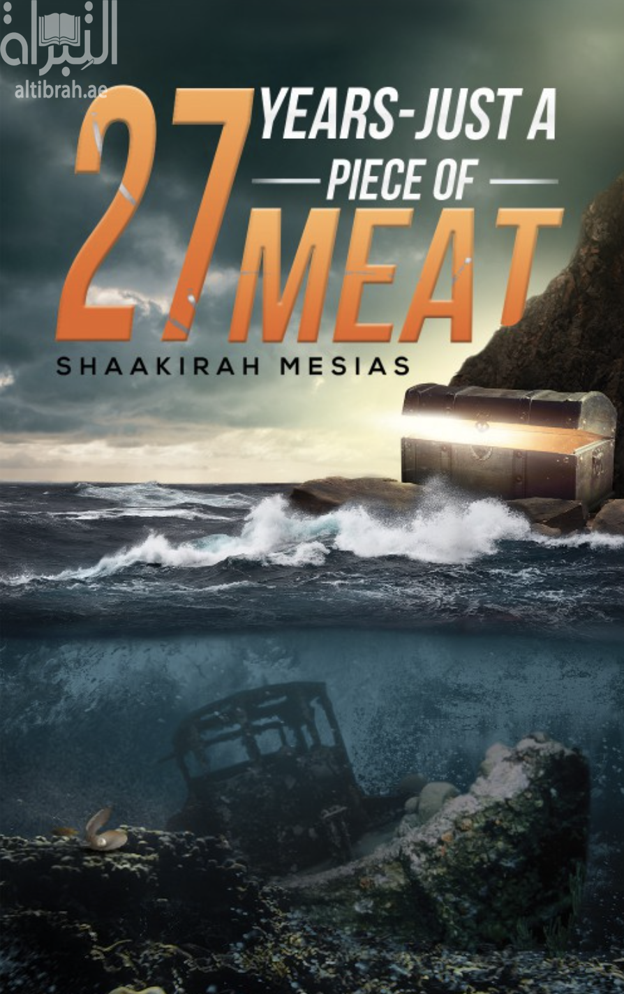 غلاف كتاب 27 Years - Just a Piece of Meat