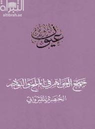 غلاف كتاب جمع الجواهر في الملح والنوادر