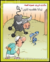 غلاف كتاب لماذا غضب الثور ؟