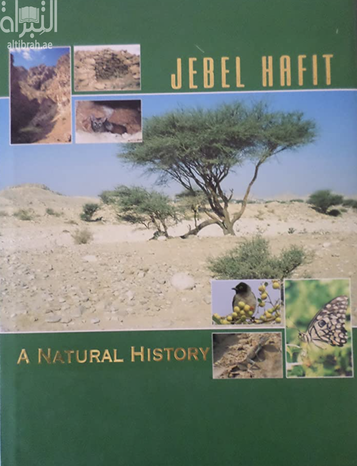 Jebel Hafit : A Natural History