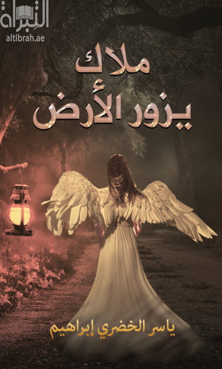 كتاب ملاك يزور الأرض / ياسر الخضري إبراهيم