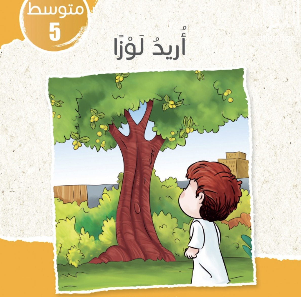 غلاف كتاب أريد لوزاً