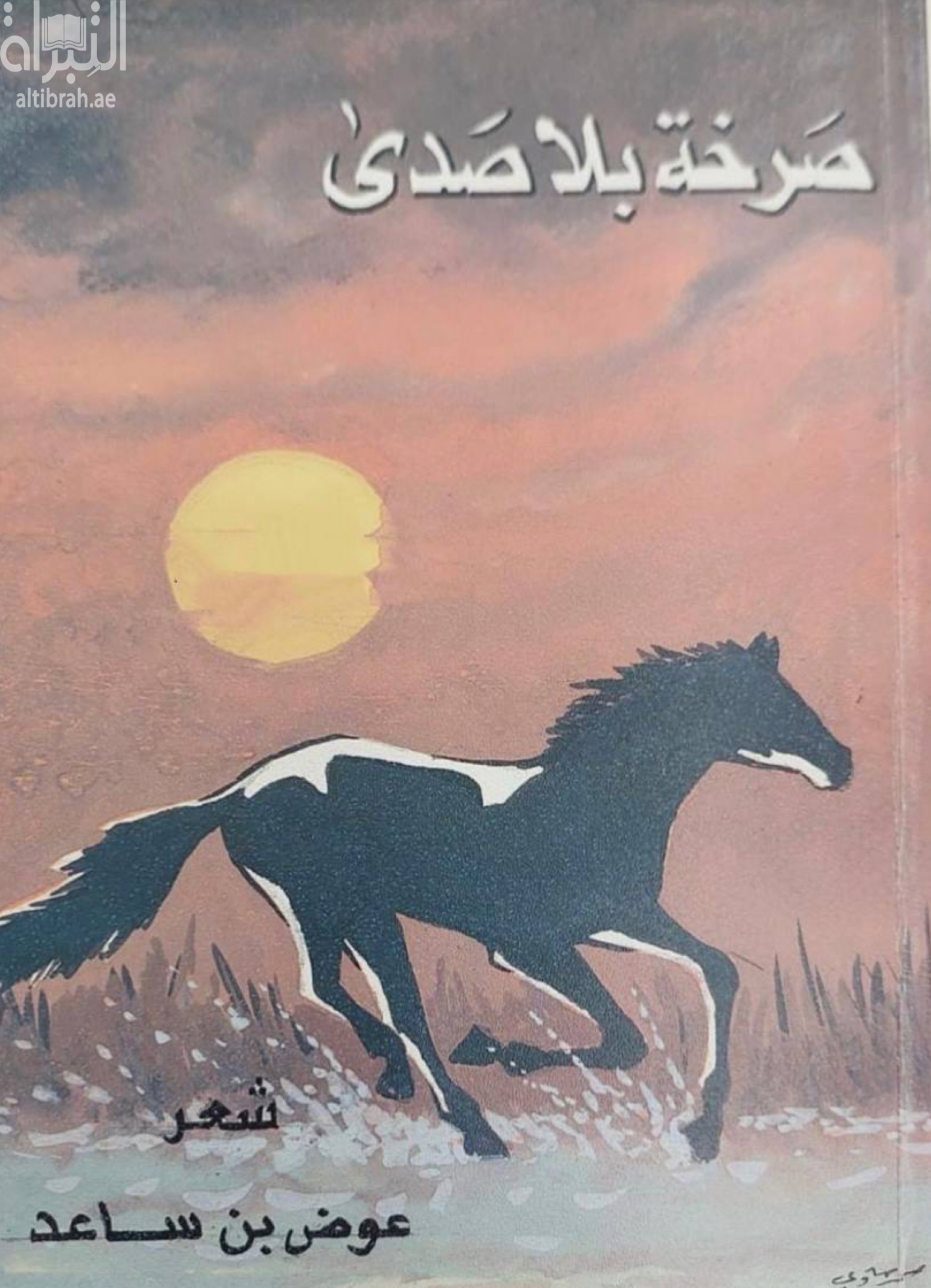 غلاف كتاب صرخة بلا صدى