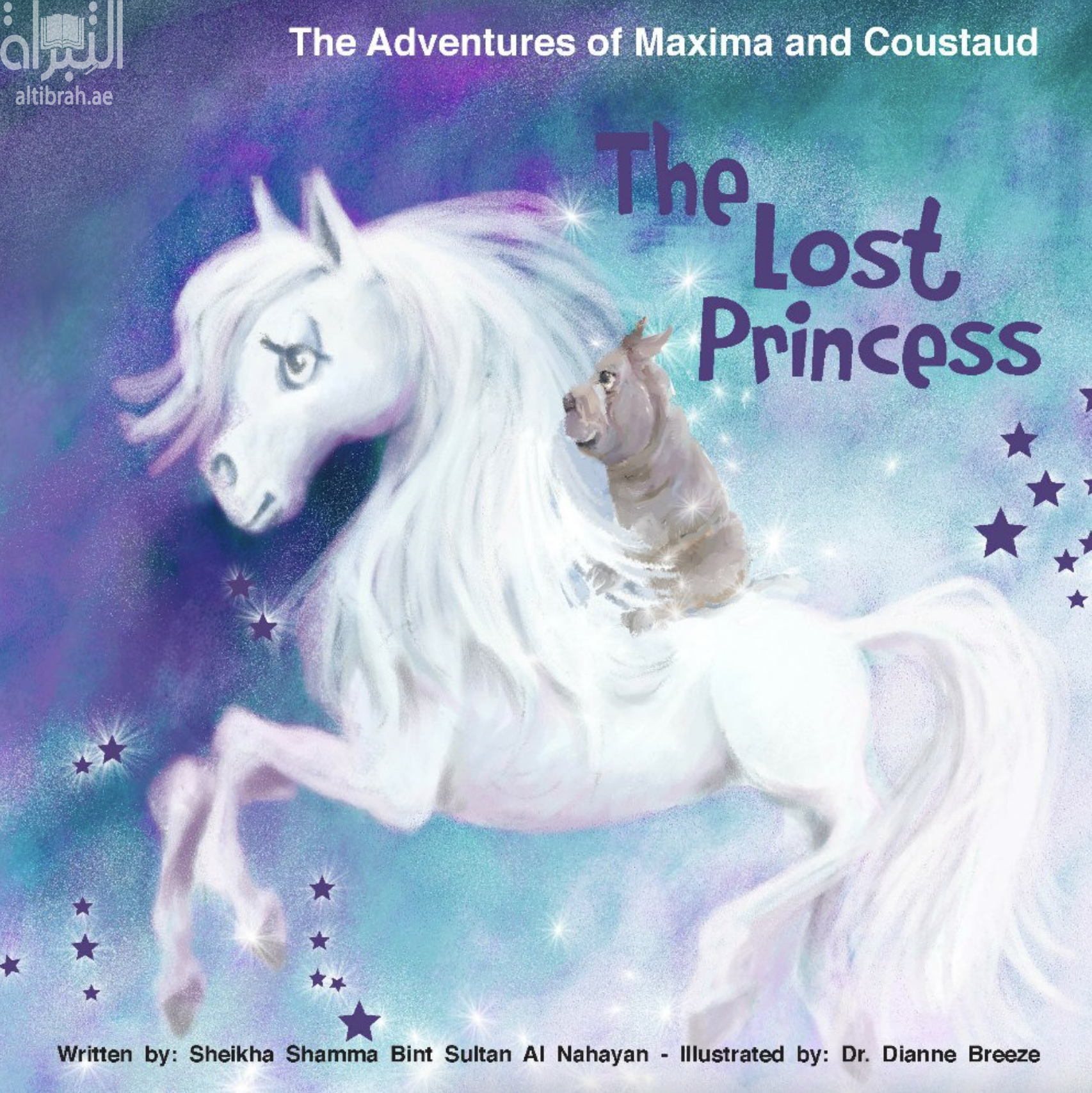 غلاف كتاب The Adventures of Maxima and Coustaud: In Search of a Global Solution