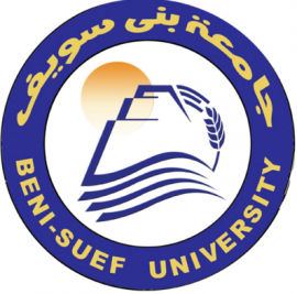 القاهرة : جامعة بني سويف