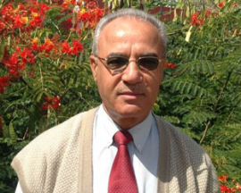 أحمد محمود الخليل