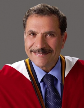 موسى سلامة اللوزي