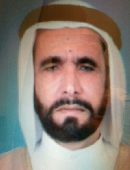 عبدالرحمن بن محمد حافظ الأنصاري الشافعي