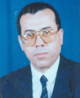 هشام محمد فريد رستم