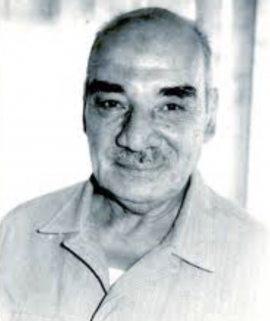 أنور الجندي