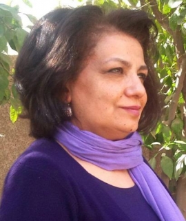 ميسلون هادي