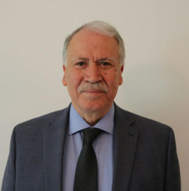 إبراهيم السعافين