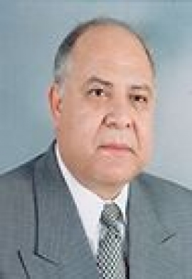 علي سيد قاسم