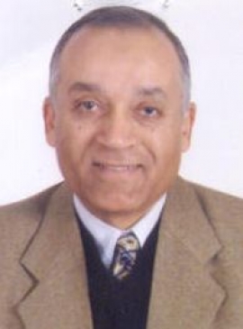 أحمد شوقي محمود