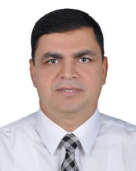 Mahmoud A. Abdelfattah