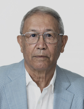 محمد المصباحي