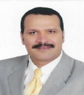 محمود عبدالحكم الخن