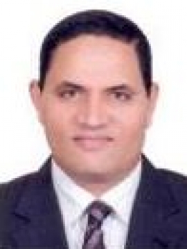 محمد الروبي