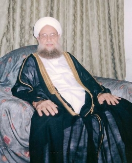 محمود أحمد الزين