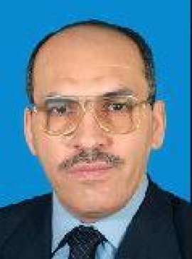 علي هادي العبيدي