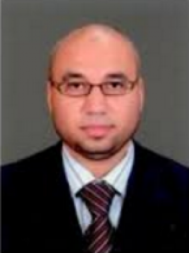 محمد إبراهيم العشماوي