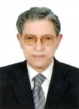 حمدي عبدالقادر الخولي