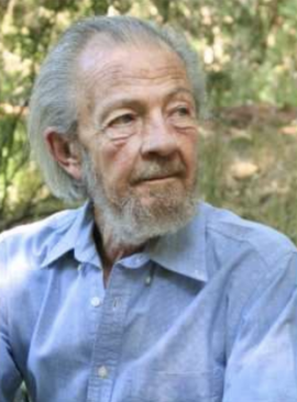 ديفيد هاوكينز