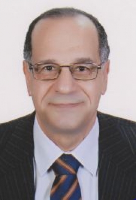 محمد المرسي زهرة