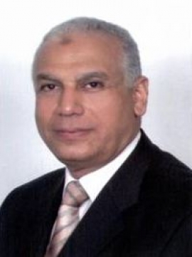 محمد قدري حسن