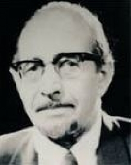 حسن محمد حسن