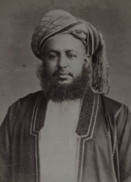 السلطان برغش