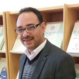 محمد محمد عيسى