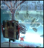 The World Dubai Marine Life Incubators