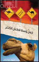 جمل وسط قطعان الكنغر Un cammello tra i canguri 